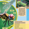 Муравски Дарлин. Большая энциклопедия насекомых
