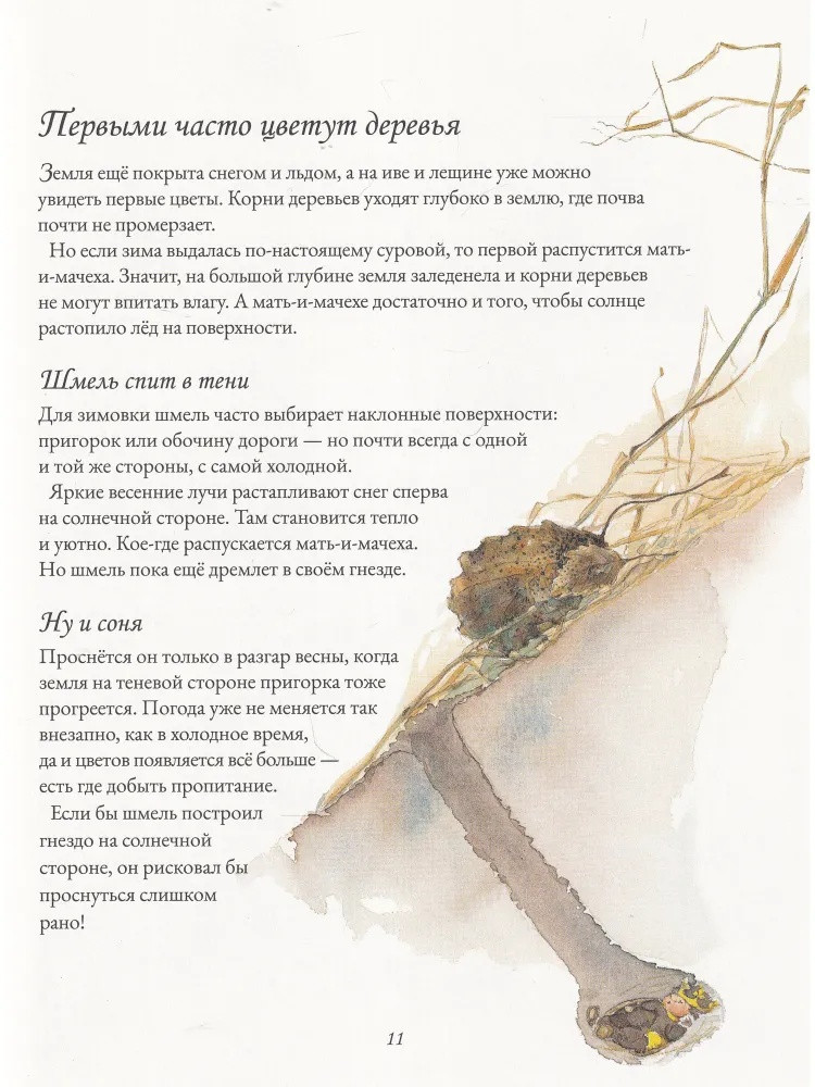 Каста Стефан. Цветочная книга шмеля