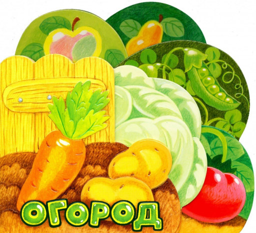 УЦЕНКА! Орлова Анастасия. Первые книжки. Огород