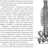 Жуков Никита. Encyclopedia Pathologica: Модицина
