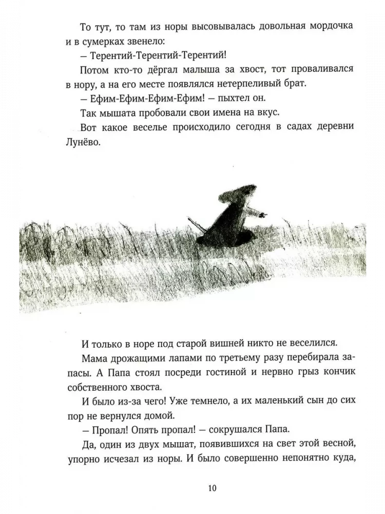 Коваленкова Анастасия. Мышонок, который Там