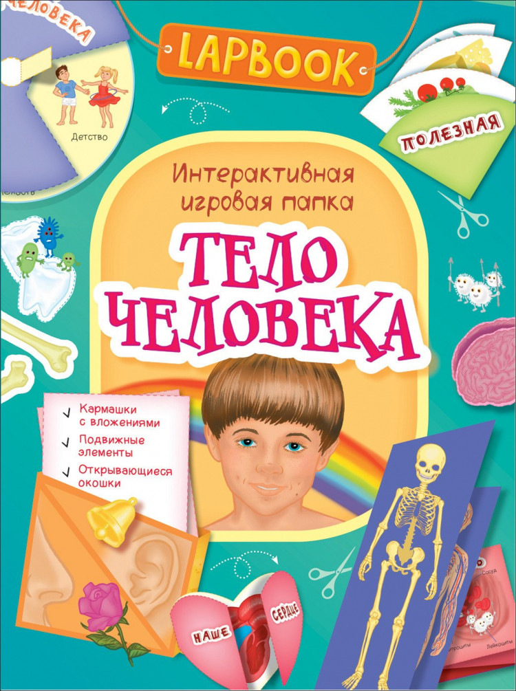 Тело человека. Интерактивная игровая папка