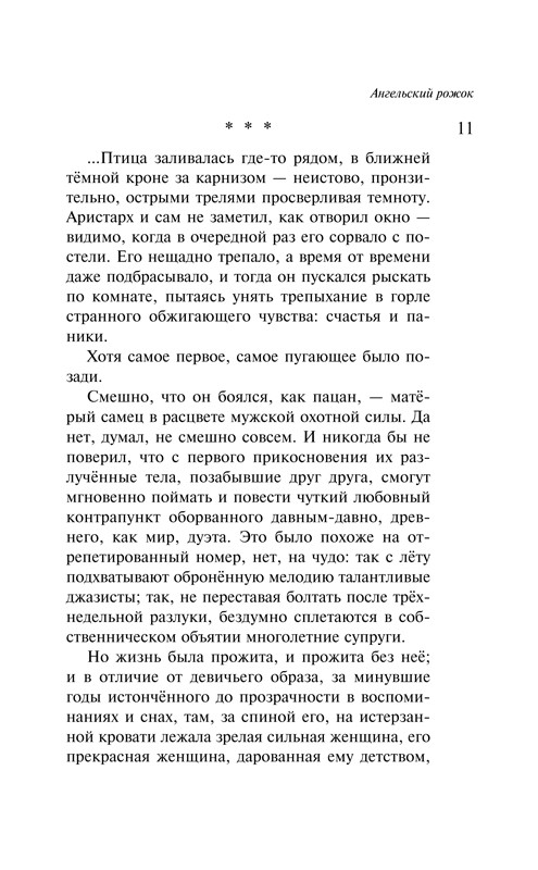 Рубина Дина. Наполеонов обоз. Книга 3: Ангельский рожок