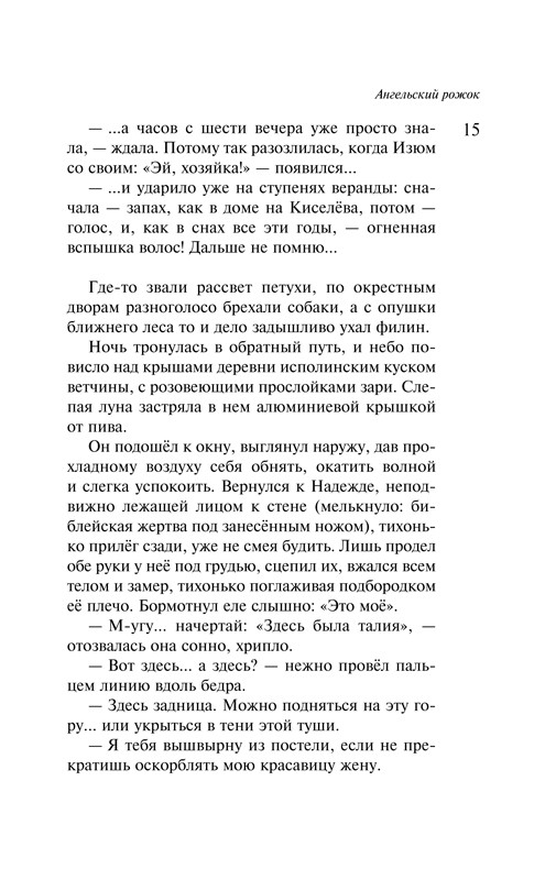 Рубина Дина. Наполеонов обоз. Книга 3: Ангельский рожок