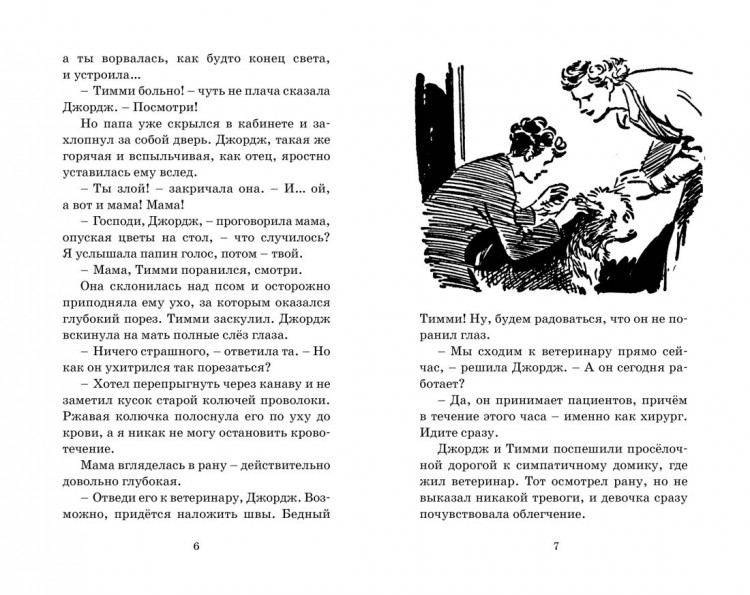 Блайтон Энид. Тайна римских развалин