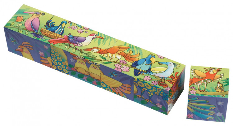 Умные кубики. Вот какие птички!