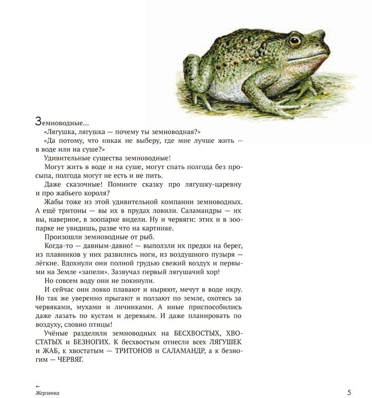 Сладков Николай. Земноводные нашей планеты