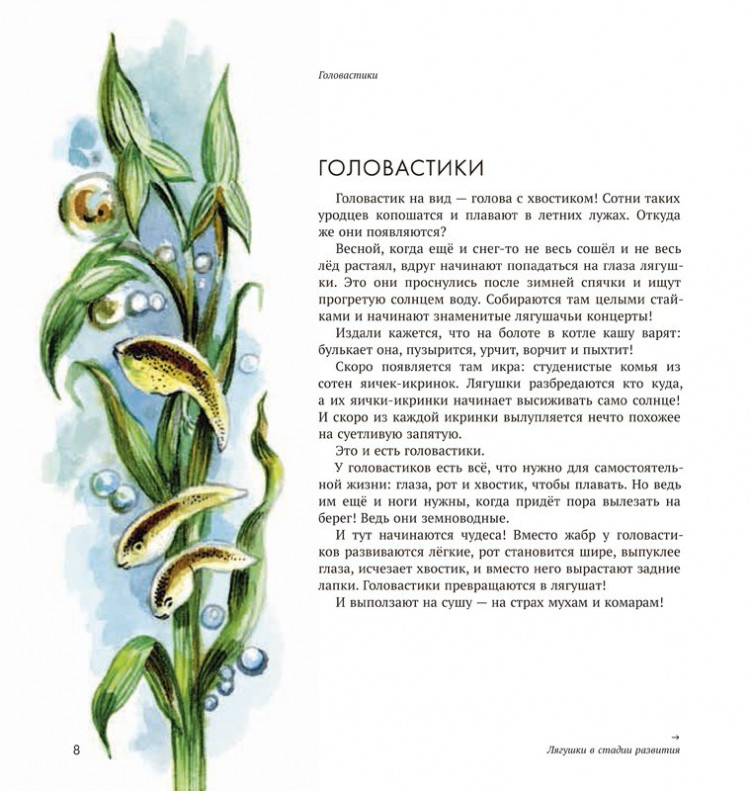 Сладков Николай. Земноводные нашей планеты