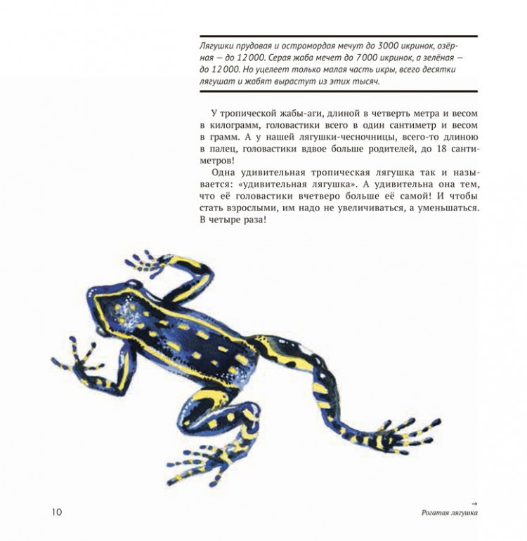 Сладков Николай. Земноводные нашей планеты