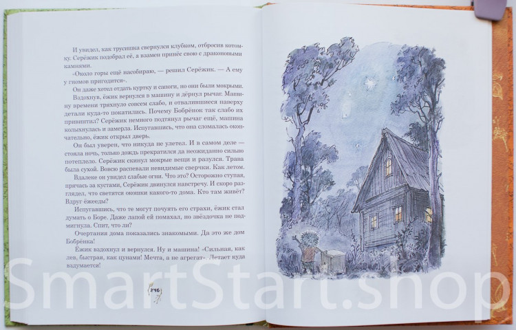 Ракитина Елена. Серёжик