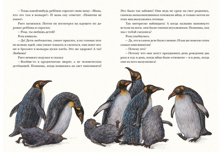 Паули Лоренц. Риго и Роза. 28 историй из жизни животных в зоопарке