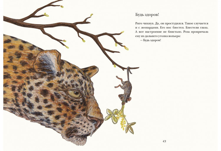 Паули Лоренц. Риго и Роза. 28 историй из жизни животных в зоопарке