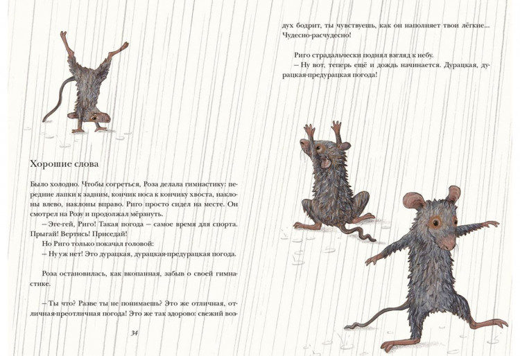 Паули Лоренц. Риго и Роза. 28 историй из жизни животных в зоопарке