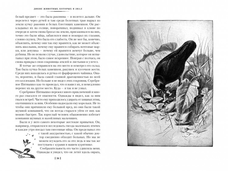 Сетон-Томпсон Эрнест. Рассказы о животных