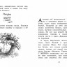 Линдгрен Барбру. Мальчик, Дядьмедведь и Птенчонок в ожидании пятницы