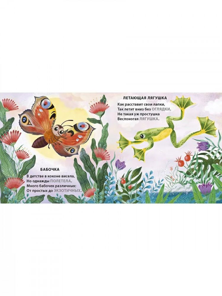 Сосновский Евгений. Кто летает. Загадки - рифмы