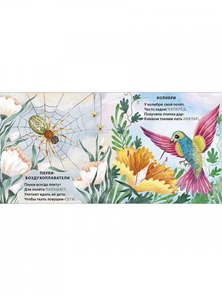 Сосновский Евгений. Кто летает. Загадки - рифмы