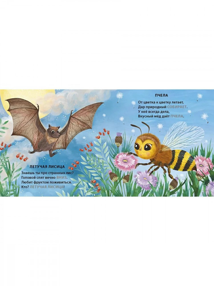 Сосновский Евгений. Кто летает. Загадки - рифмы