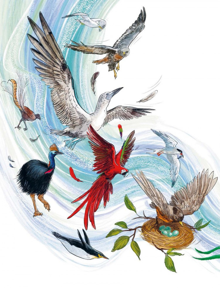 Качур Елена. Птицы. Энциклопедии с Чевостиком