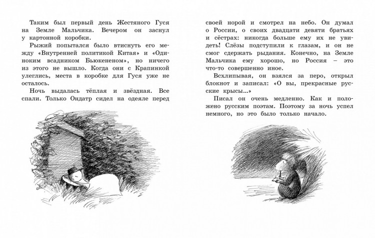Линдгрен Барбру. Мальчик, Жестяной Гусь и возвращение Элефанты