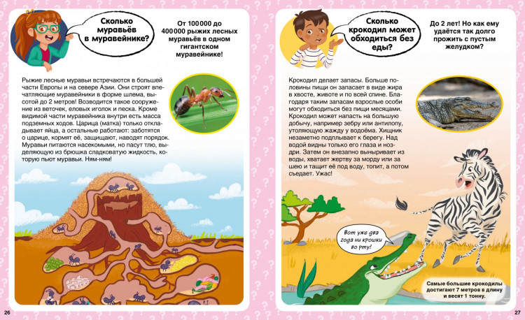 Сколько? 100 вопросов и ответов в картинках