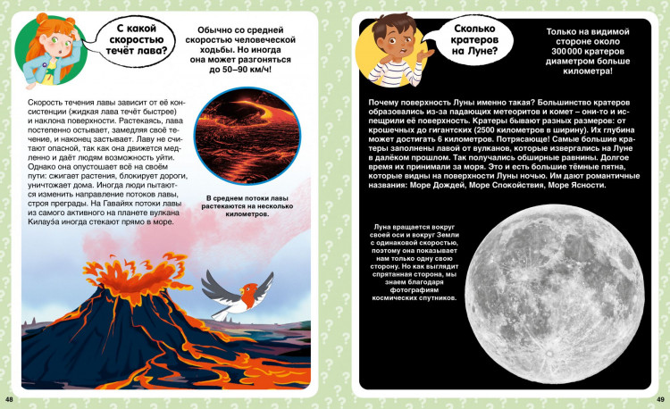 Сколько? 100 вопросов и ответов в картинках