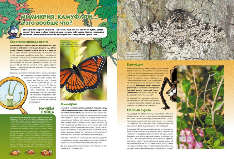 Кристоф Казнов. Насекомые в комиксах. Том 1