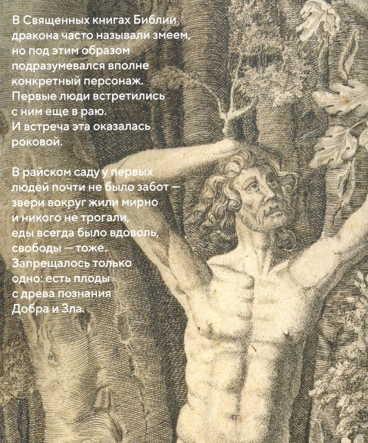 Драконы: великие и ужасные