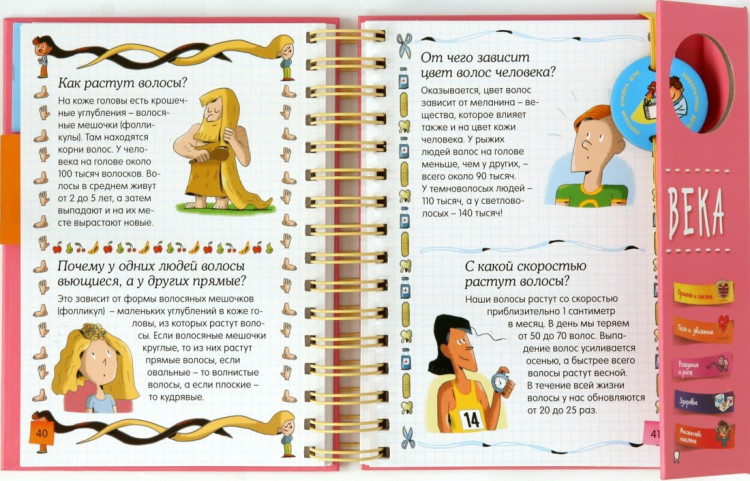 Тело человека (энциклопедия на пружине)