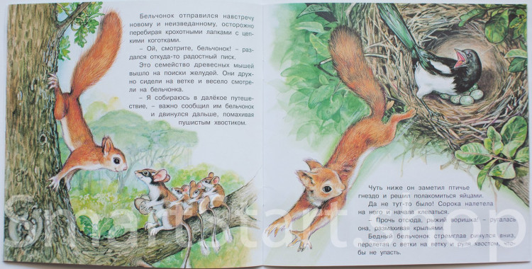 Гурина Ирина. Приключения бельчонка