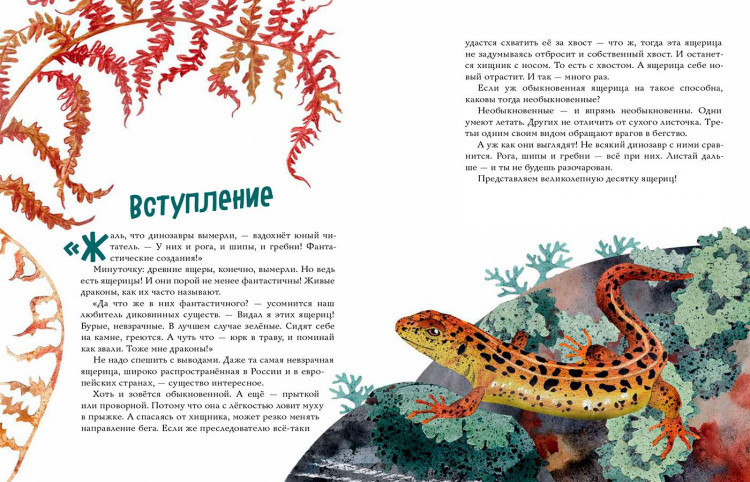 Великолепная десятка. Ящерицы
