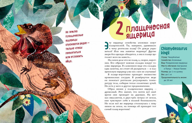 Великолепная десятка. Ящерицы