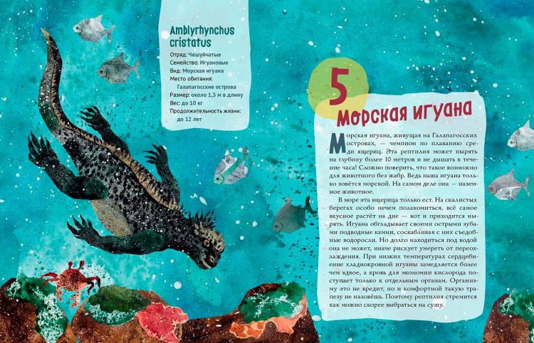 Великолепная десятка. Ящерицы