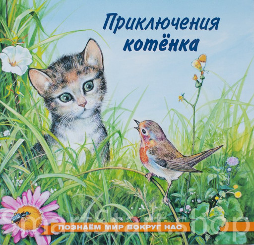 Гурина Ирина. Приключения котенка