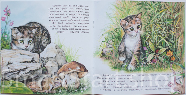 Гурина Ирина. Приключения котенка