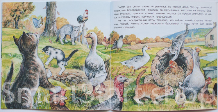 Гурина Ирина. Приключения котенка