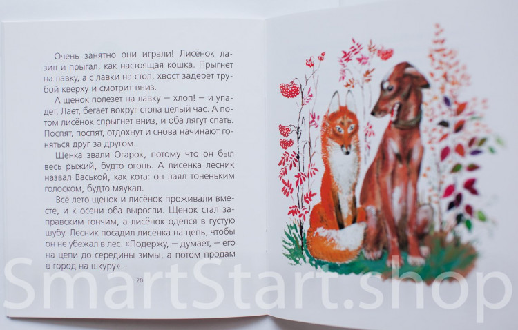 Чарушин Евгений. Пищик