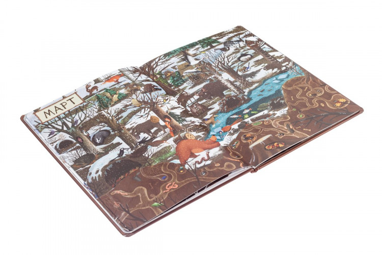 Дзюбак Эмилия. Год в лесу. Найди и покажи