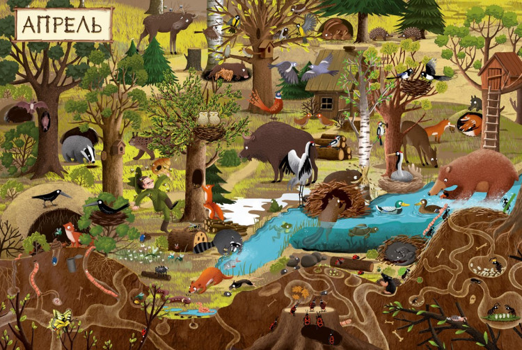 Дзюбак Эмилия. Год в лесу. Найди и покажи