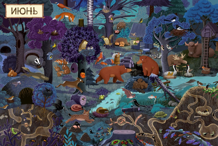 Дзюбак Эмилия. Год в лесу. Найди и покажи