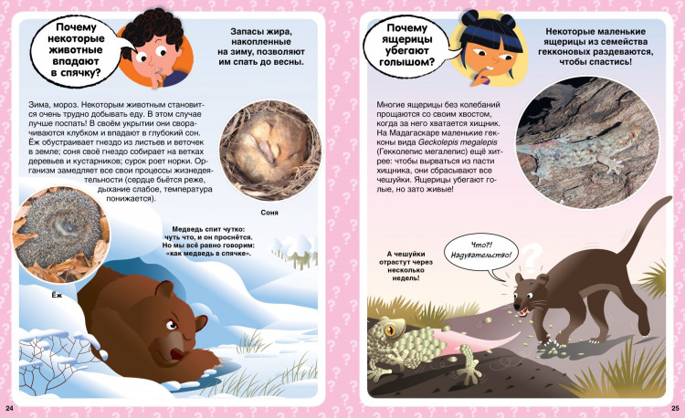 Почему? 100 вопросов и ответов в картинках