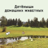 Ван Гагельдонк Мак. Это мой малыш! Детёныши разных животных