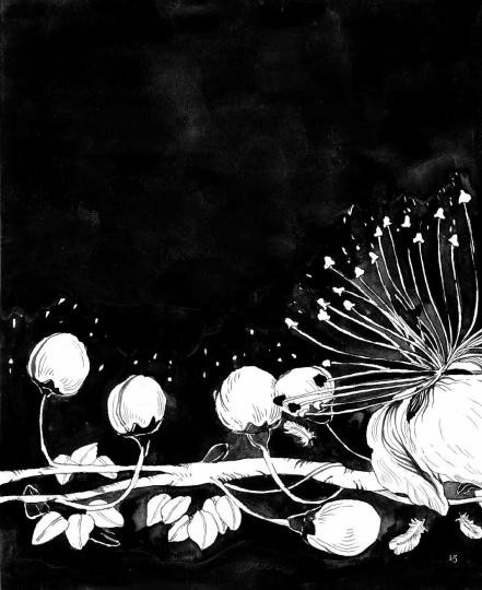 Эртимо Лаура. Ночь. Книга о сне и тайнах темноты