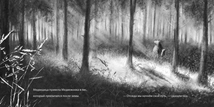 Уивер Джо. Медвежонок