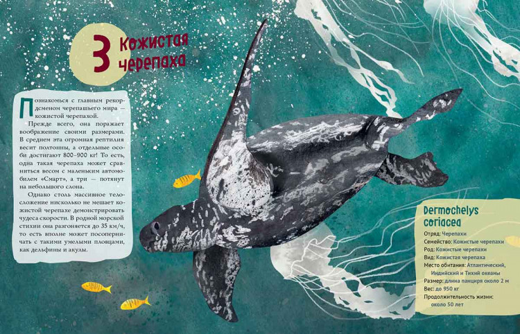 Великолепная десятка. Черепахи