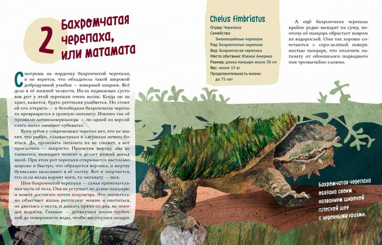 Великолепная десятка. Черепахи