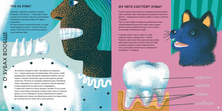 Фелисити Анна. Зубки и зубищи