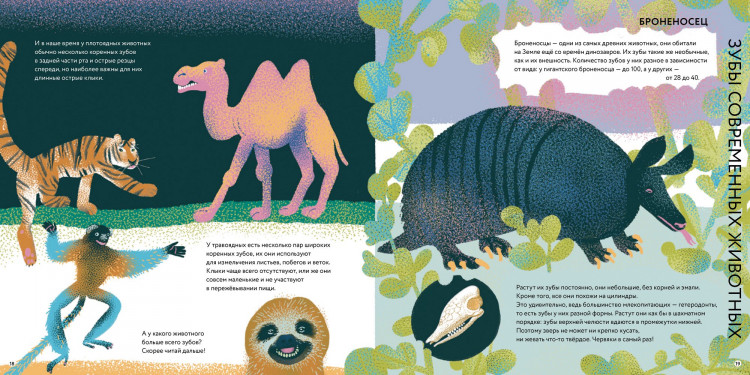 Фелисити Анна. Зубки и зубищи