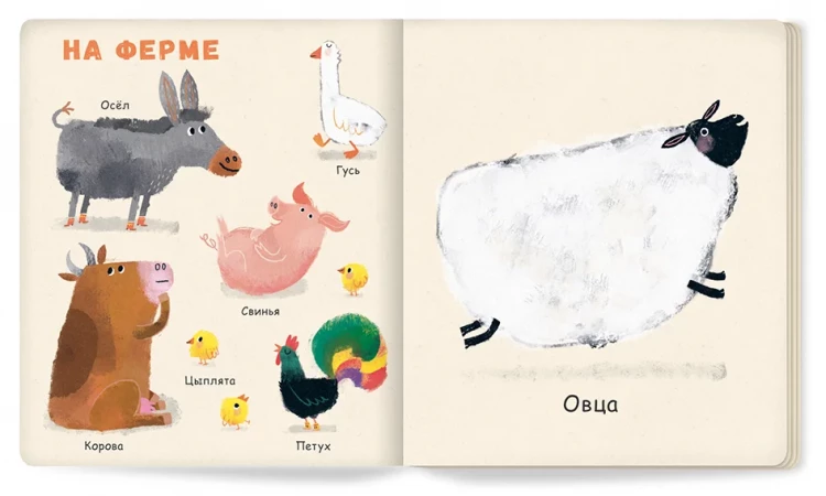 Зюсбауэр Анна. Мои первые животные