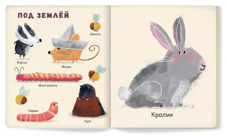 Зюсбауэр Анна. Мои первые животные